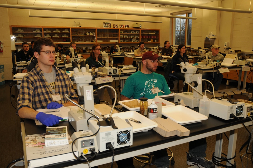 Students in the classroom lab-3