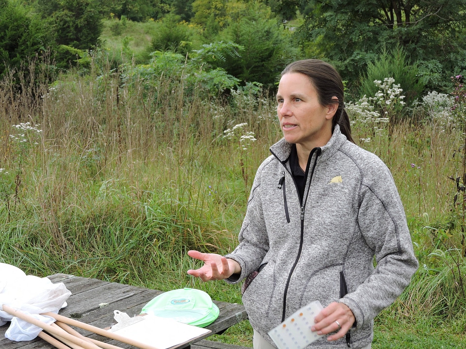 Volunteers get monarch tagging briefing