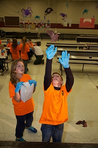 Bat education activity-1
