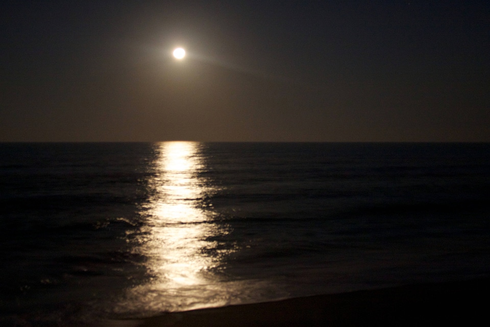 Moon over Archie Carr National Wildlife Refuge