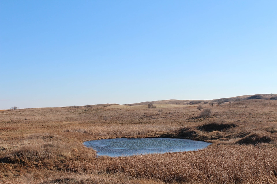 Wet and grassland easement at Long Lake Wetland Management District-2
