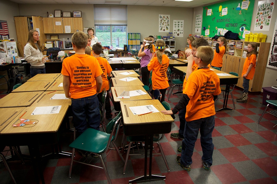 Bat education in the classroom-1