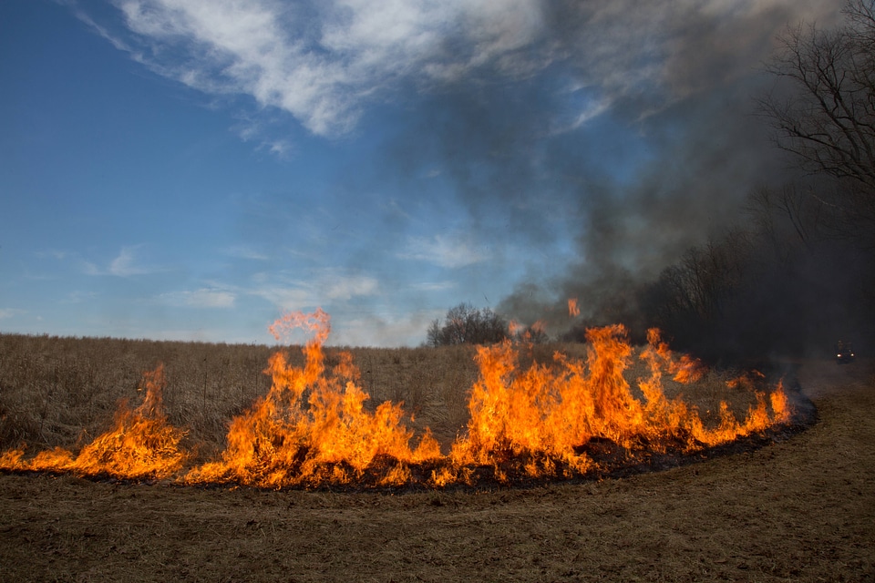 Prescribed burn at NCTC -1