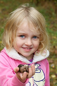 Handful of nuts