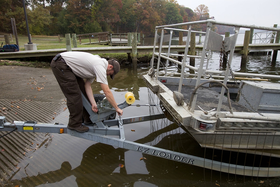 Electrofishing for Northern Snakehead-2