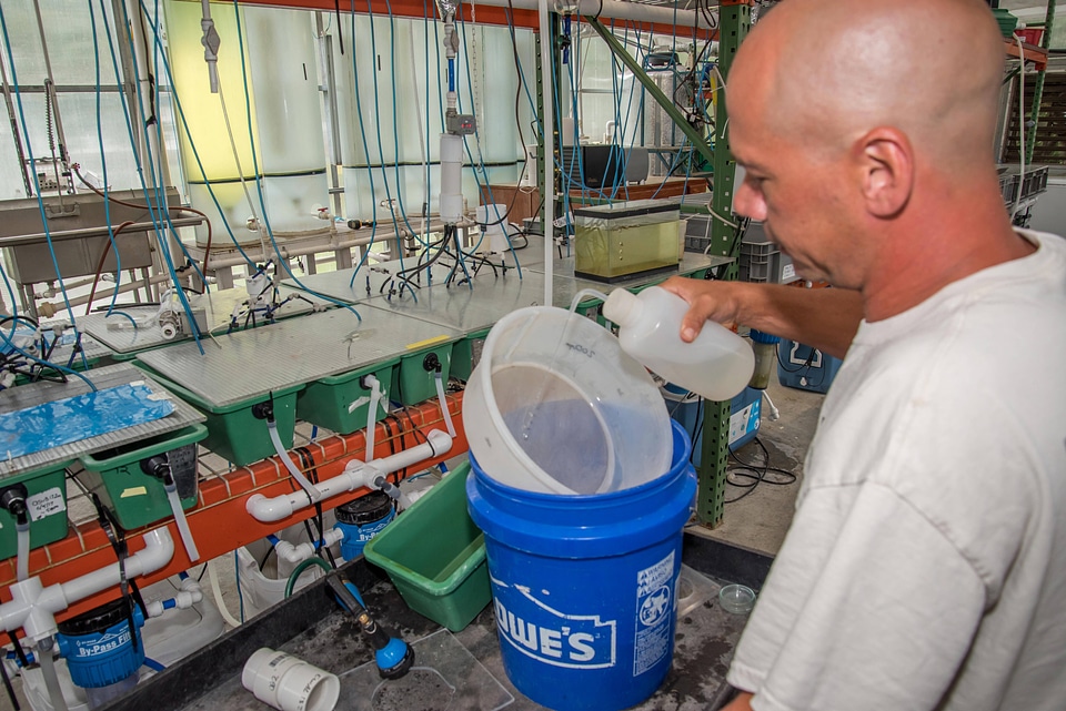 Workers clean mussel propagation equipment