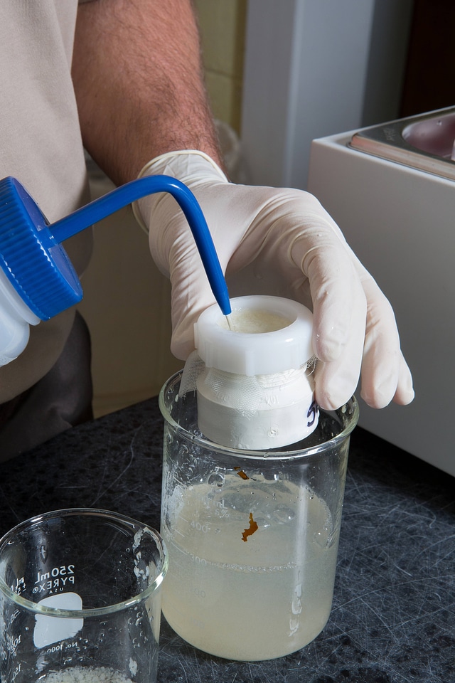 FWS biologist propagates freshwater mussels in a labratory-2