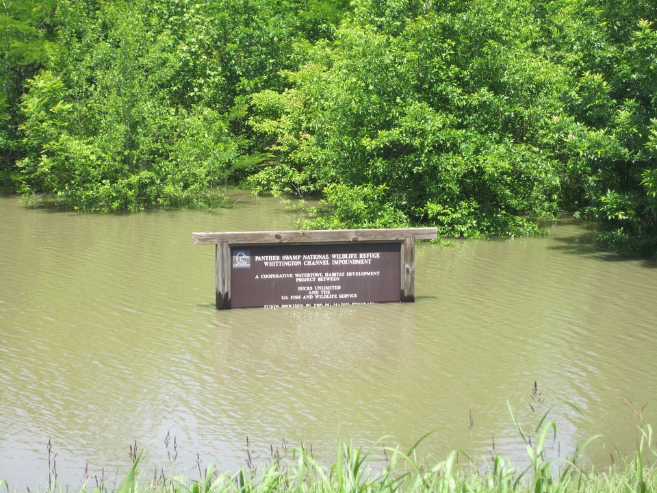 Mississippi: Ducks Unlimited sign, May 9