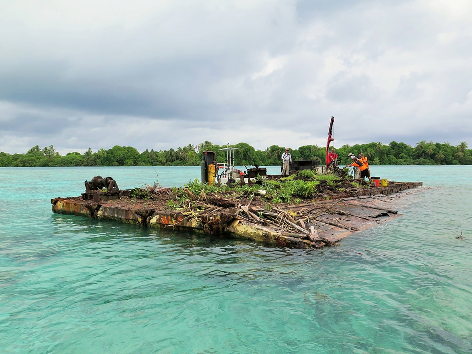Shipwreck vegetation removal
