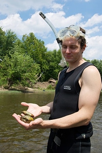 Freshwater mussels photo