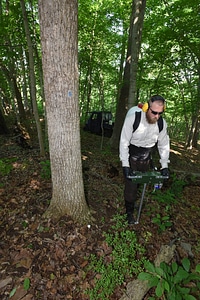 NCTC land management specialist uses motorized injector to treat ash trees-2