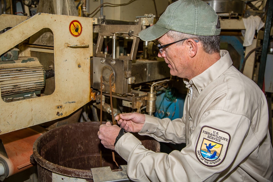 Fish Nutritionist checks quality control of fish food-1