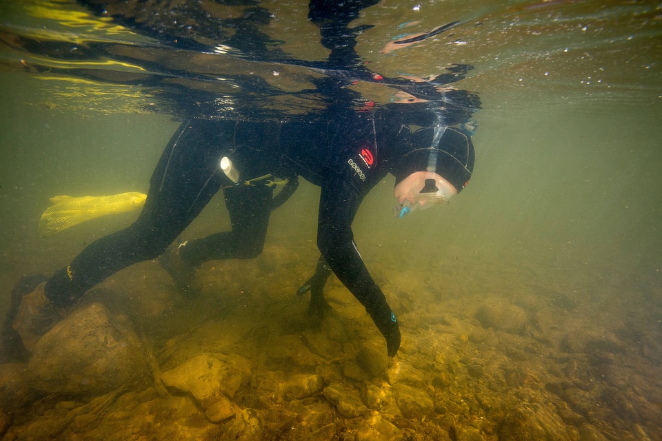  Biologist searches for freshwater mussels-1