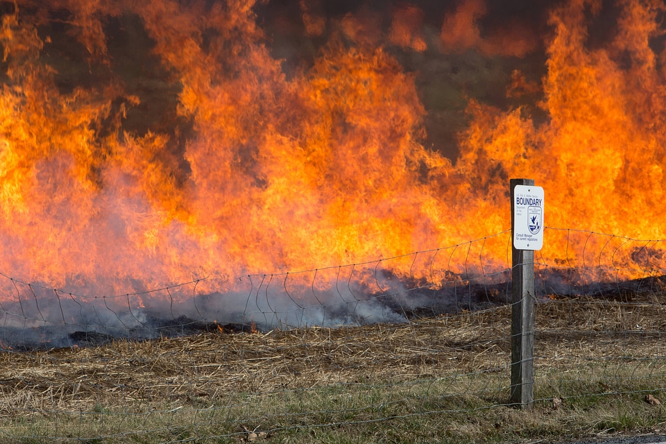 Prescribed burn at NCTC -1