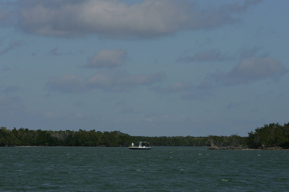 Ten Thousand Islands NWR