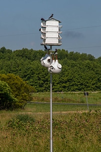 Purple Martin houses at Prime Hook NWR