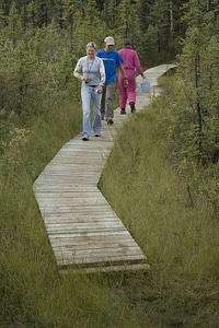 Visitors walking on a trail at Tetlin National Wildlife Refuge
