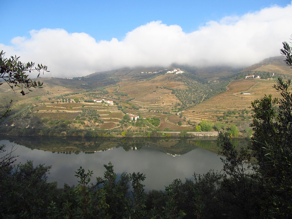 Douro nature landscape photo