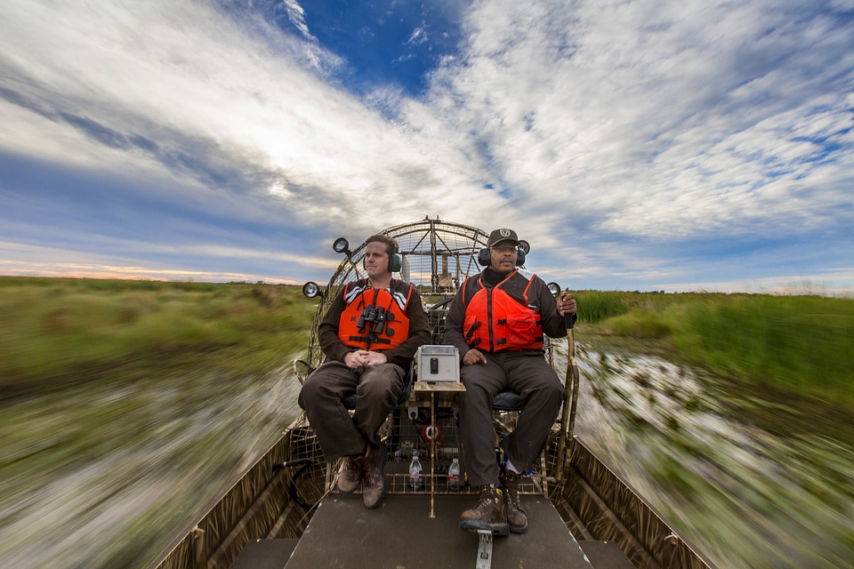 Employees operate an airboat at Bayou Sauvage NWR