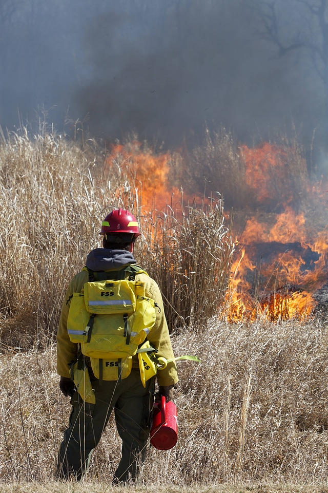 Fire crew at prescribed burn-2