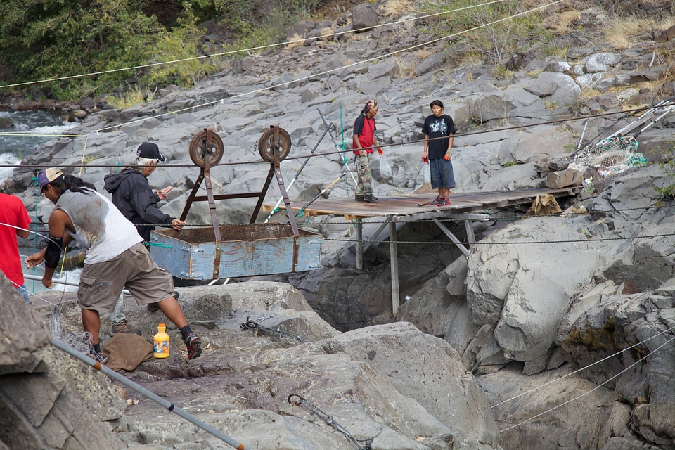 Yakama tribal members using a pulley system to transport salmon