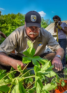 Employee planting a monarch garden