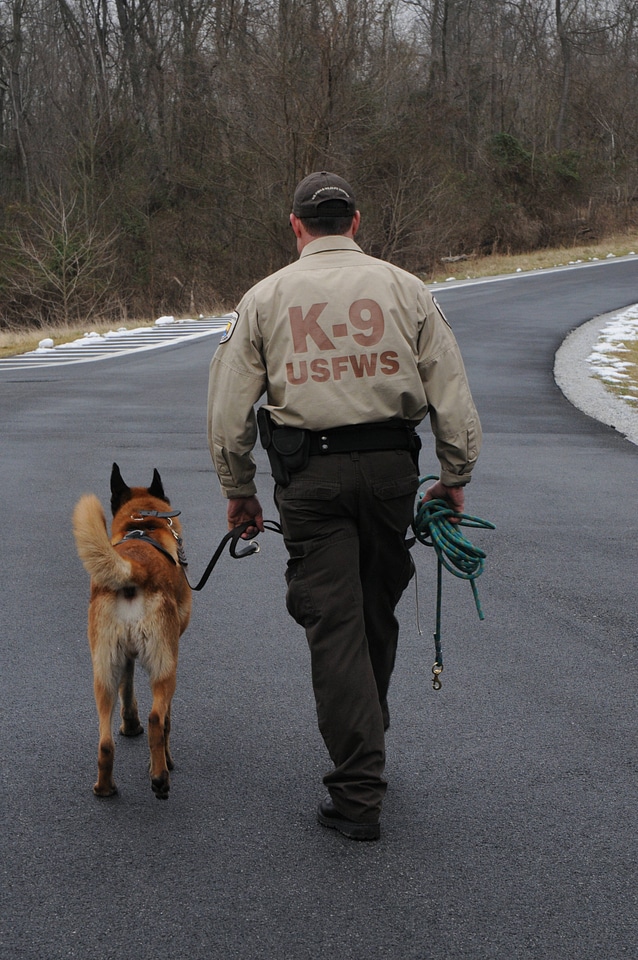 K-9 officer with his partner