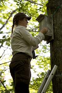 USFWS checks Northern Flying Squirrel nest box