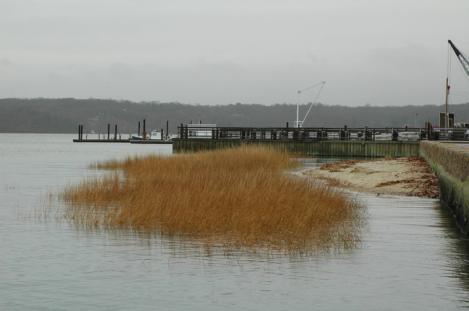Dock over the water