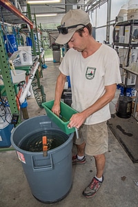 Workers clean mussel propagation equipment-1