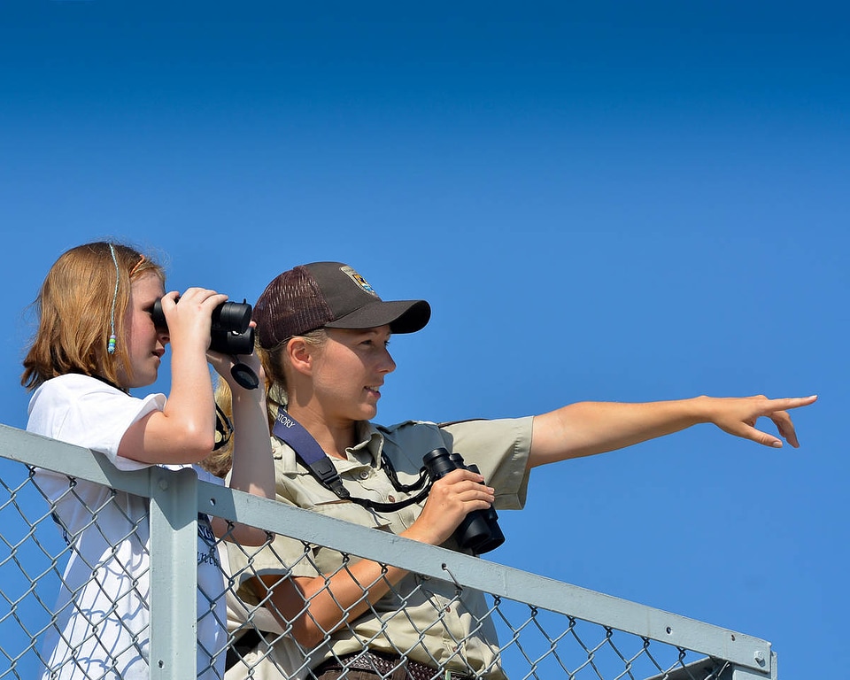 Birdwatching-1