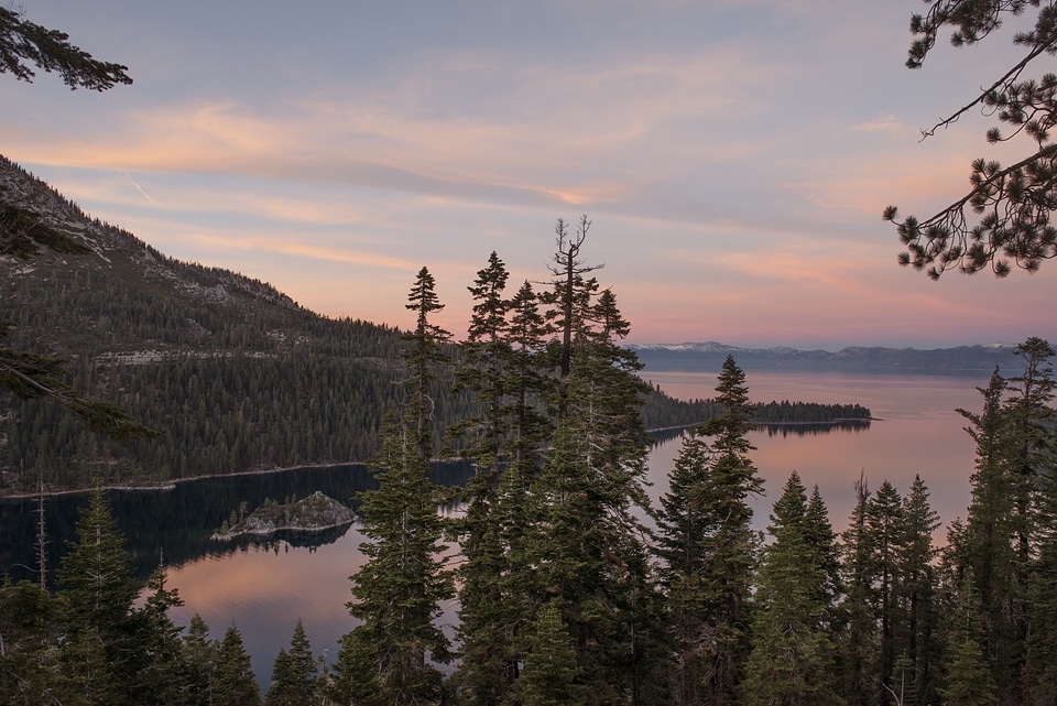 Nature evening twilight