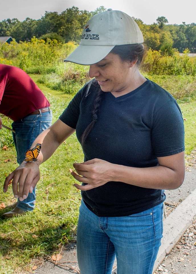 Volunteer with monarch butterfly-1