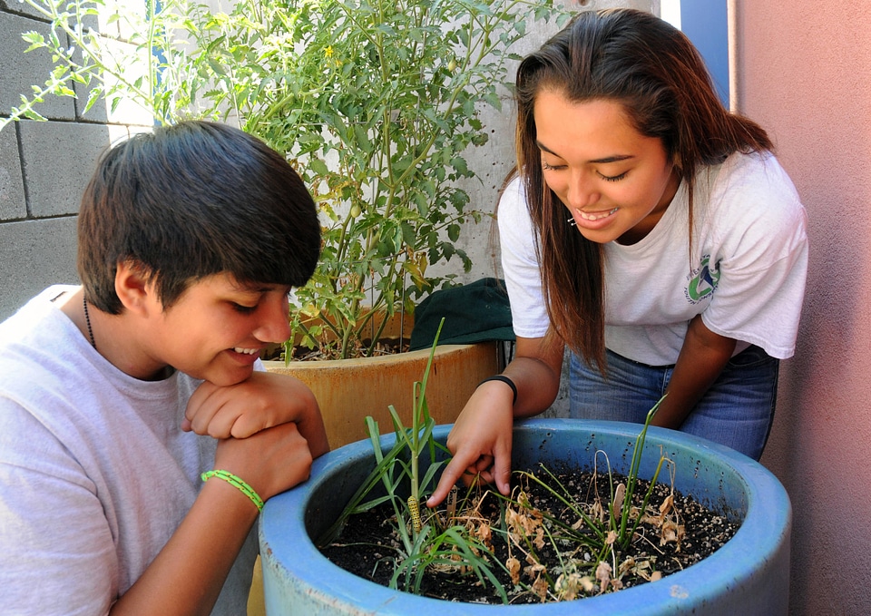 Youth working in a community garden