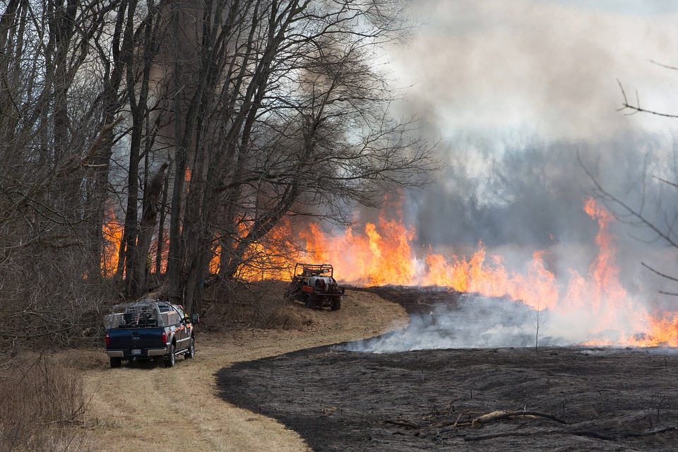 Prescribed burn at NCTC -1
