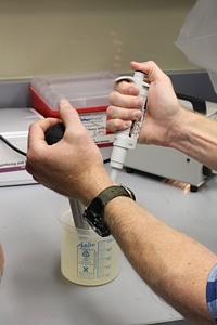 Glochidia being mixed with a turkey baster