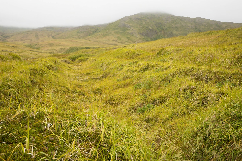 Remains of a trench dug in the tundra