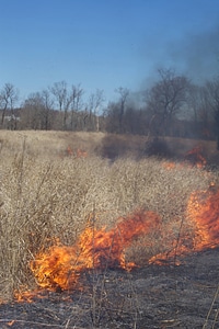 Prescribed Fire-1