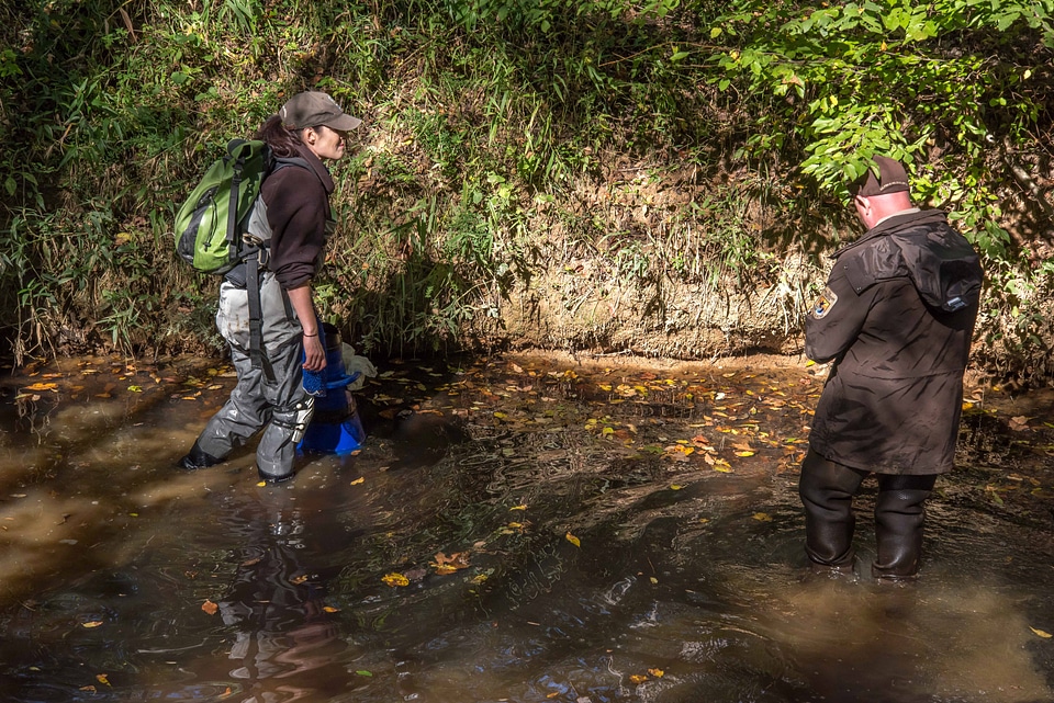 FWS mussel biologist, Morgan Wolf, releases endangered Carolina Heelsplitter-2