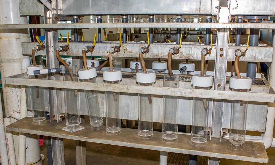 Fish-rearing equipment in Sturgeon Building