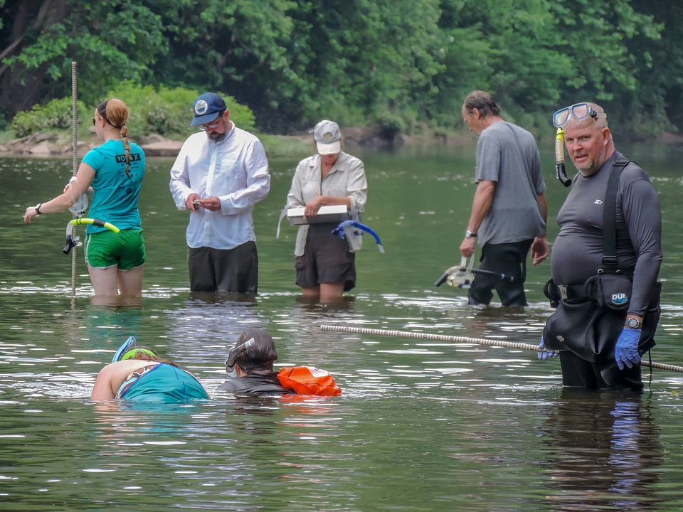 Students surveying freshwater mussels-3