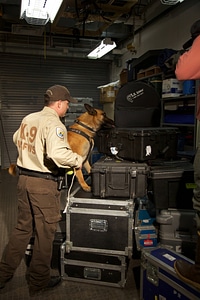 Law enforcement with K-9-3