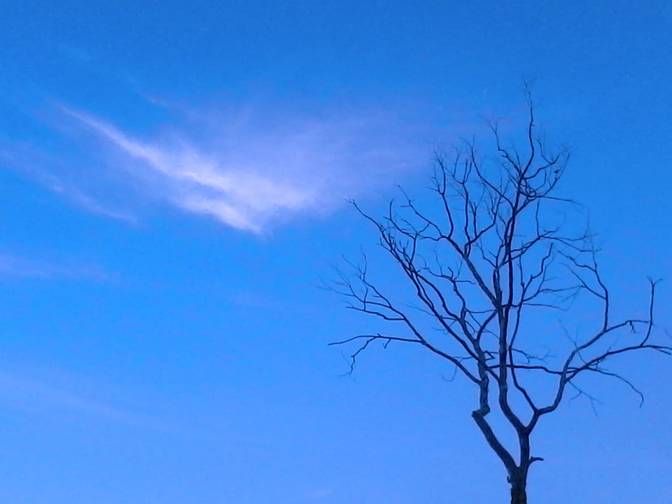 Clouds cumulus sky blue