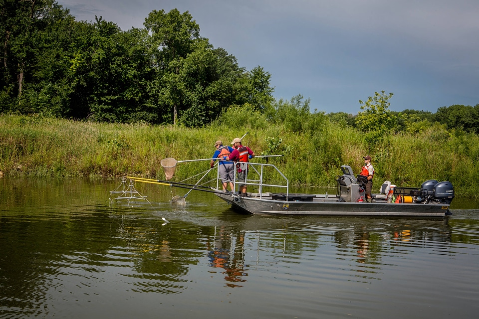 Electrofishing for invasive carp-1