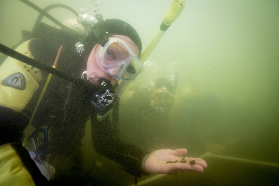 Ohio River Islands biologist ,Patricia Morrison, holds Purple Cat's