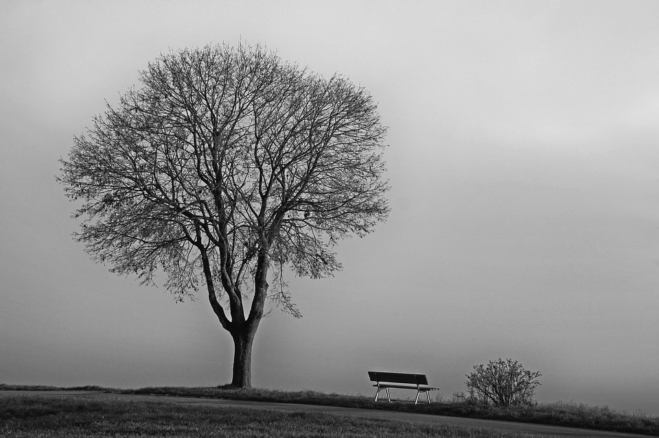 Cold nature autumn photo