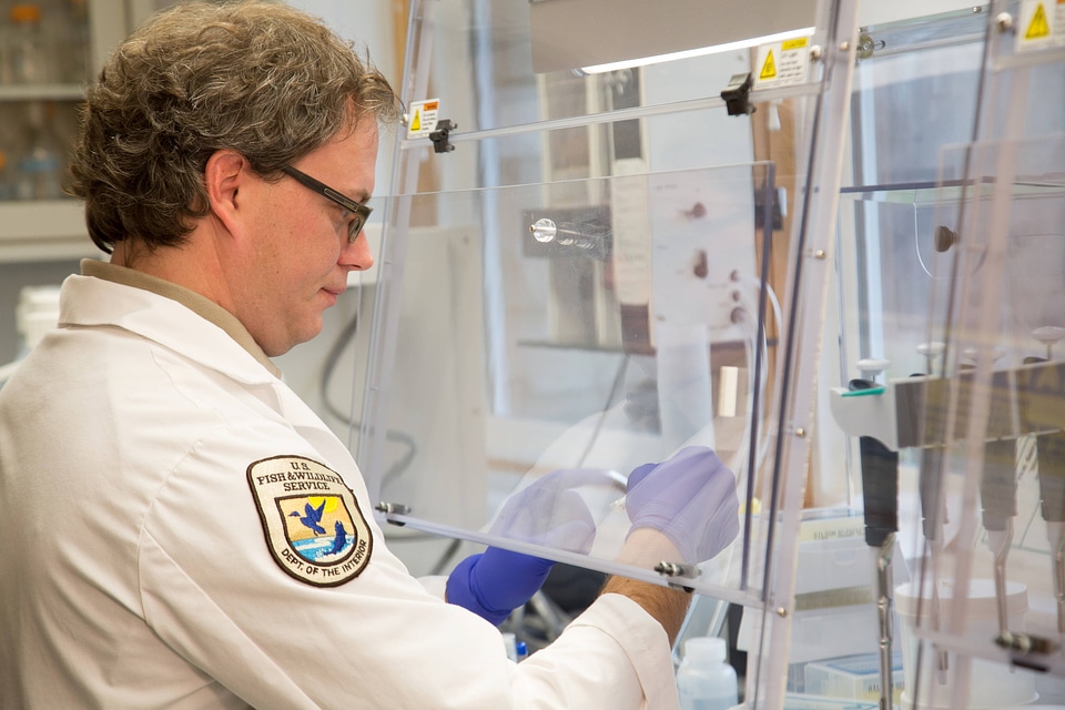 Geneticist at work-2