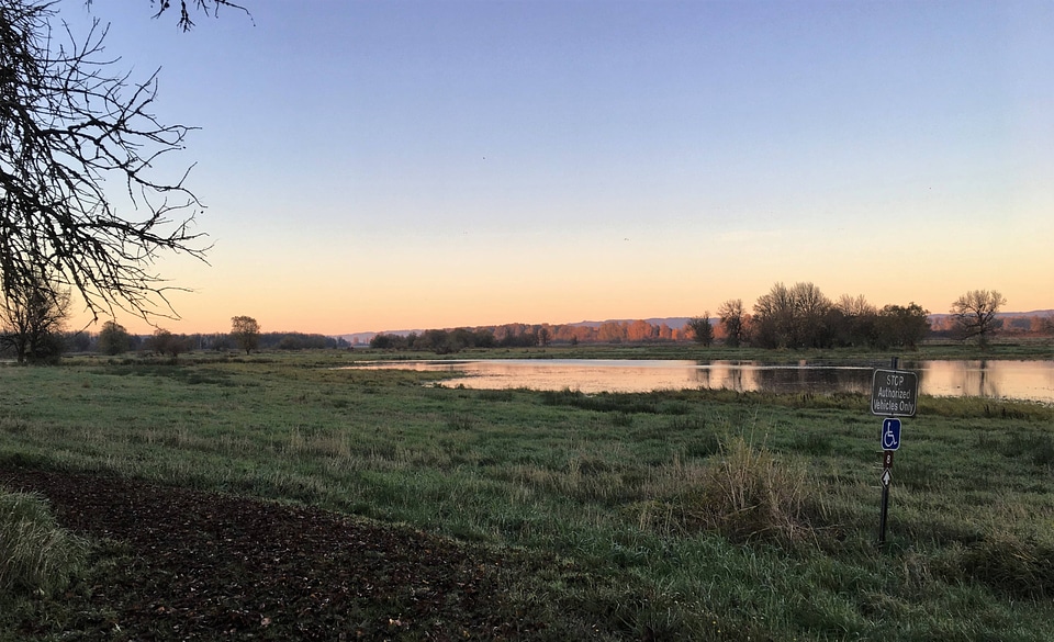 Veteran's Day at Ridgefield NWR 