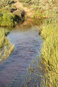 Stream through Sierra Nevada high alpine meadow-2 photo