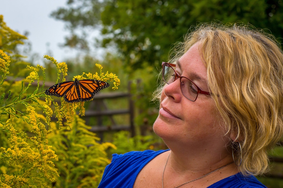Woman looking at monarch butterfly on goldenrod flower